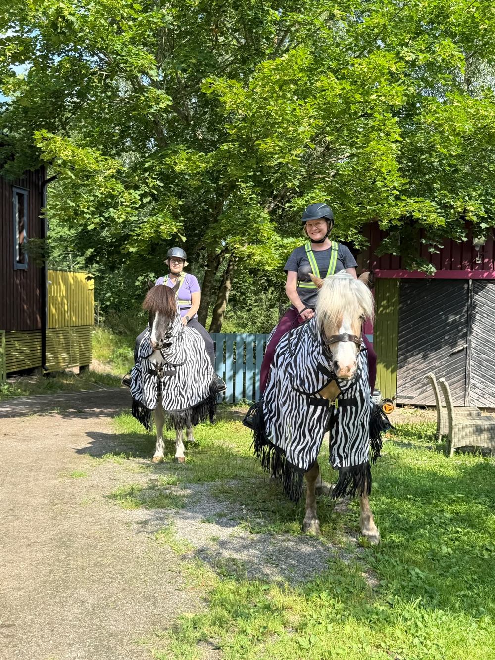 Asiakkaat ratsastamassa seepraloimilla